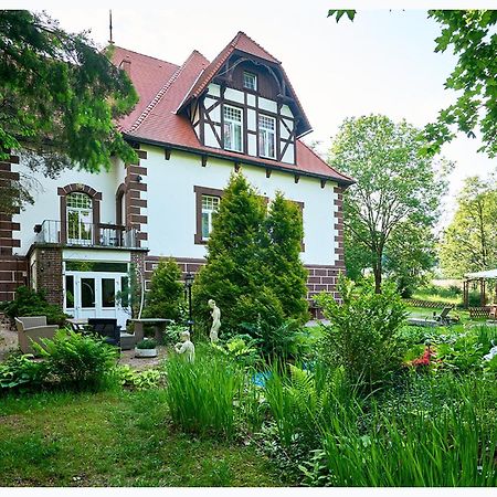 Willa Palacyk Świeradów-Zdrój Exteriör bild