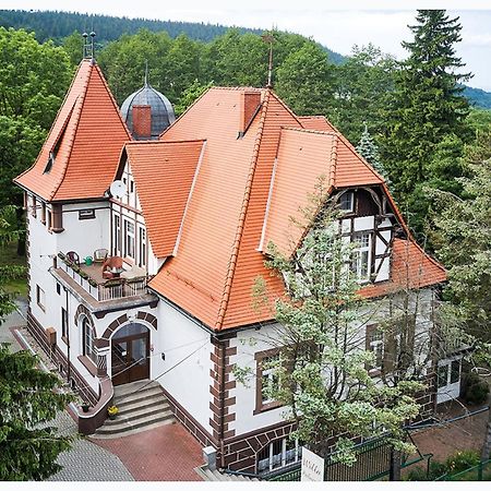 Willa Palacyk Świeradów-Zdrój Exteriör bild